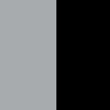 Dazzling Silver Dualtone