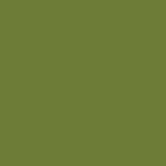 Olive Gold 