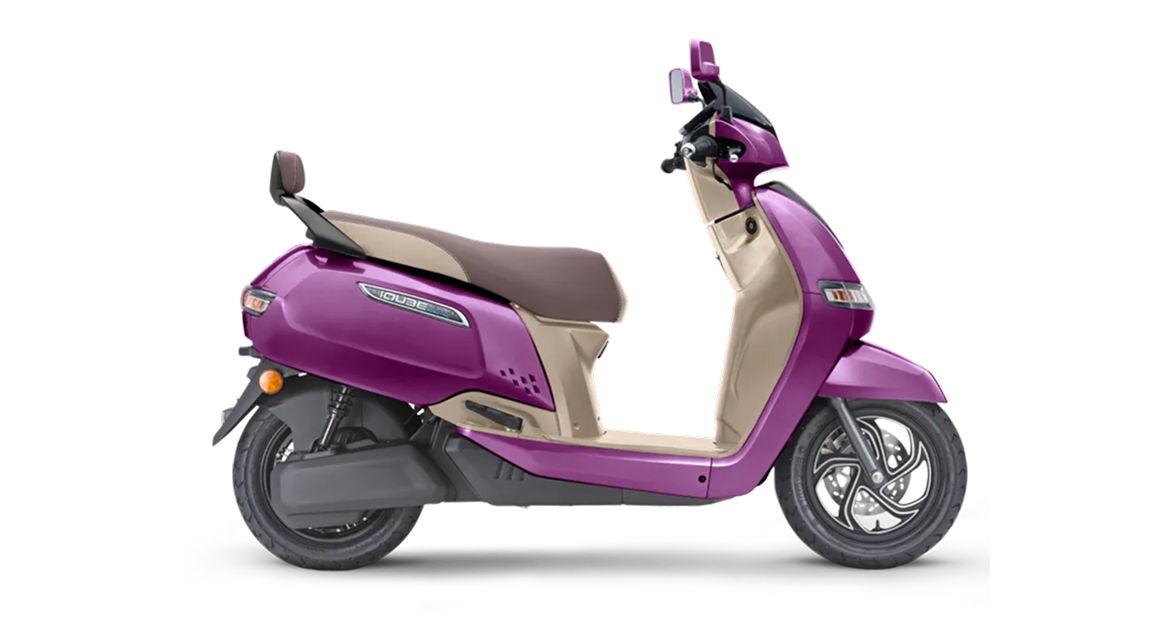 Magnificence Purple