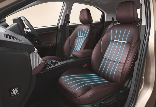 Interior 10
