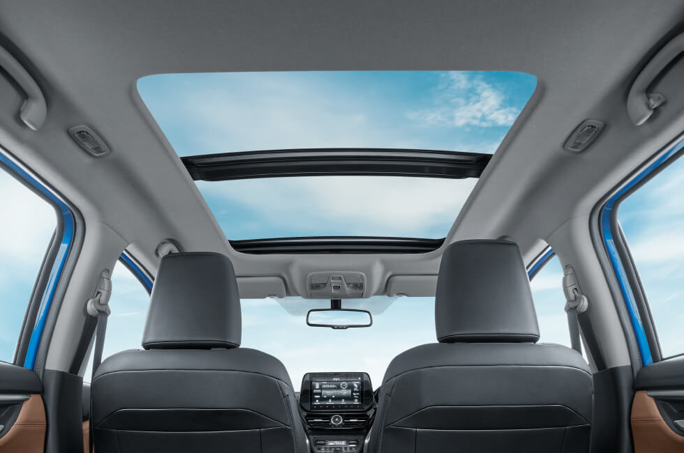Interior 5